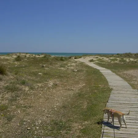 Penthouse Nova Golf & Beach *