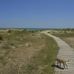 Penthouse Nova Golf & *