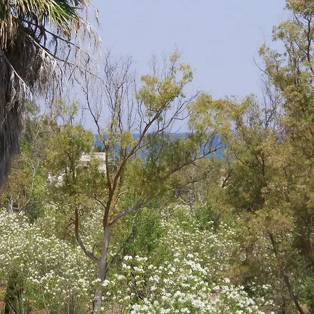 Penthouse Nova Golf & Apartamento Oliva